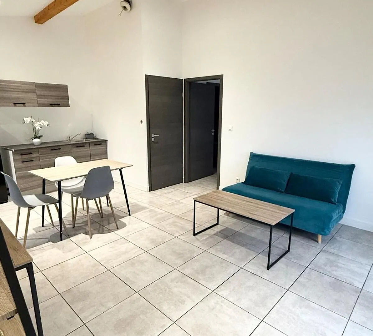 T2 Etage Cnpe Bugey Apartment Leyment